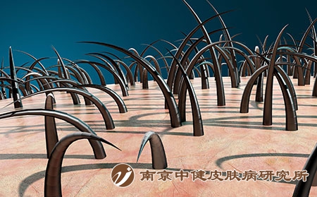 摄图网_401926276_头发生长（企业商用）
