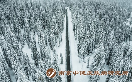 4 (213)冬
