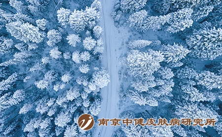 冬